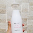 하와이바디케어