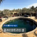 샘디자인 - 수성구 만촌로32길 10-2 | 이집트여행] 시와 오아시스 마지막날 코스② | 클레오파트라 샘·카이로 이동 후기(feat.시와 기념품 상점)