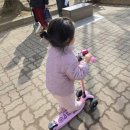 T-5 | 5살(3세) 마이크로 맥시T 프로 디럭스 구매 후기(추천) 및 마이크로 킥보드 제품 라인 정리