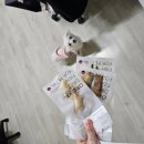 아씨네간식 | [반려동물 인생 간식] 동해형씨 강아지 식사 후기 ! ㅎ