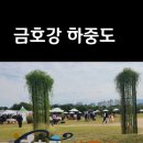 세븐일레븐 대구노곡하중도점 | 국내여행,[대구 금호강 하중도(금호강 꽃섬)] 대구 정원 박람회, 하중도 코스모스, 하중도 갈대, 피크닉...
