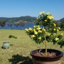 합천군골프연습장 이미지