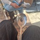 원진노기순청국장 | 공주 원진노기순청국장 맛집후기