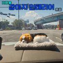 삼익상사 쇼핑하우