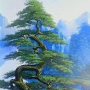 넓은세상 이미지