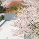 진짜 성장을 원한다면, 서강에서 시작하세요 – 서강대 MBA 89기 박연정 재학생 이야기