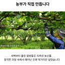 양배추주스 추천 청숨 파이토 릴렉스 후기｜매일 부담 없이 마시는 데일리 루틴 주스