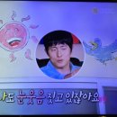 기안자원 이미지