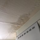 공원로436번길 이미지