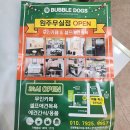 버블독스원주