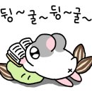 리얼포케 네이버블로그