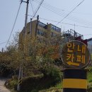 쉐이리코타키나 이미지