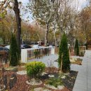 강남대로 이미지