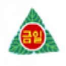 금일초등학교 이미지