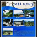 성정약국 이미지