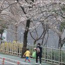 성산구 ⓒ-21 이미지