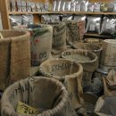 강릉커피박물관 이미지