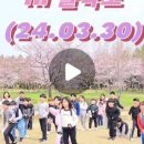 하단제일합기도 이미지