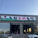 초원농장 | 경기 파주 맛집 초원오리농장 주물럭 추천 내돈내산