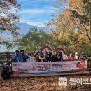 시나브로 이미지