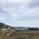 [여수] 돌산도 오션뷰 비스토니커피카페, 돌산도 이곳저곳 2일차