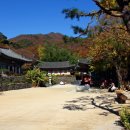 대원사계곡 이미지