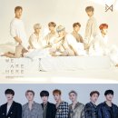 애니베어 이미지