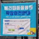 베리떼 동물병원 | 인천 송도 동물병원 베리떼동물병원 강아지 수중재활 후기