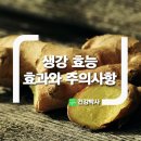 생강 효능 효과와 주의사항 이미지