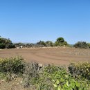 우도공인중개사사무소 이미지