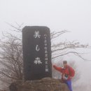 우츠쿠시