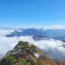 40-05 충주-월악산.포함산.악어봉(9월20일) 접수중 이미지