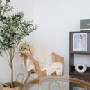 수원-0823 이미지