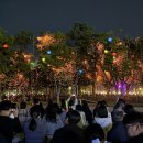 정부세종청사문화관(박연문화관) 네이버블로그