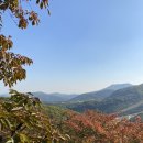 숲매점(자판기)