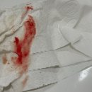 가평모닝필하우스 | [공지] 가평 단체 펜션 모닝필하우스 2024 여름 엠티 MT 단합대회 승리배드민턴클럽 in 팀서울포레스트