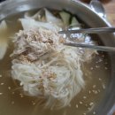 [부여 맛집 밥집] 국립부여박물관 근처 든든한 밥집 백제닭개장&초계국수 여름 보양식 후기