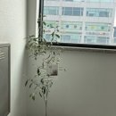 스튜디오리제이 이미지