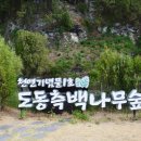 백림장 티스토리