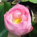 경산시민회관 이미지