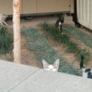 성동구청 뒤편 이미지