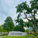 충민마을회관 네이버블로그