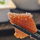 [베이징 맛집] 차이나 센트럴몰 다둥(DaDong) 베이징덕 후기 jw메리어트 근처 맛집