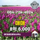 해드림부동산공인중개사무소 이미지
