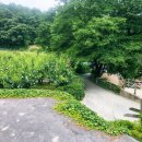 배바위농원 이미지