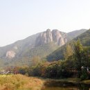 주왕산통나무펜션