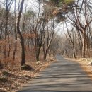 백운사 경내 이미지