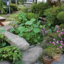 송가면옥함흥냉면 이미지