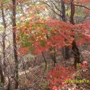갑장산의 가을풍경(강석주) 이미지