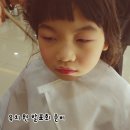 샤플리헤어 - 수원시 장안구 | 샤플리헤어